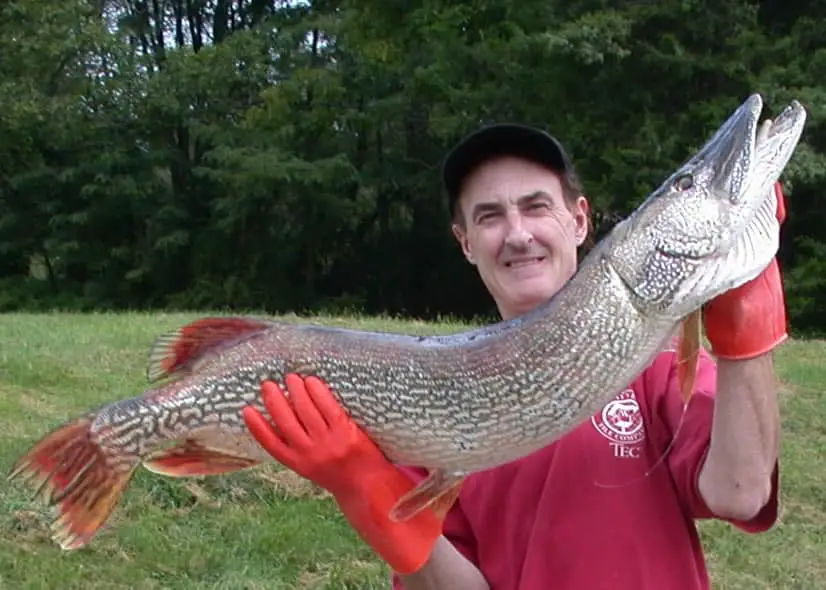 New Jersey state northern pike record