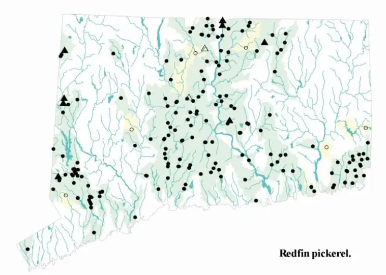 connecticut redfin pickerel map