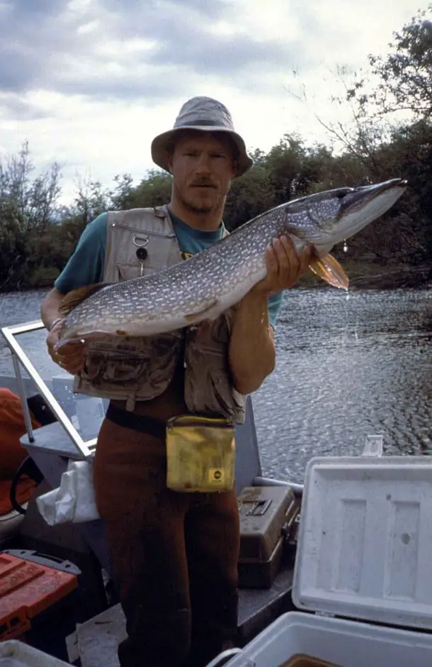 Angler with trophy pike