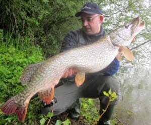 man holding giant pike