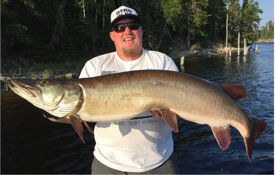 angler with trophy musky
