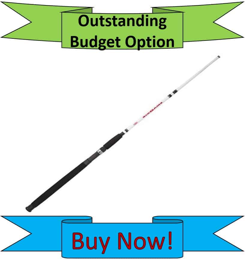 Berkley Budget Pike Fishing Rod