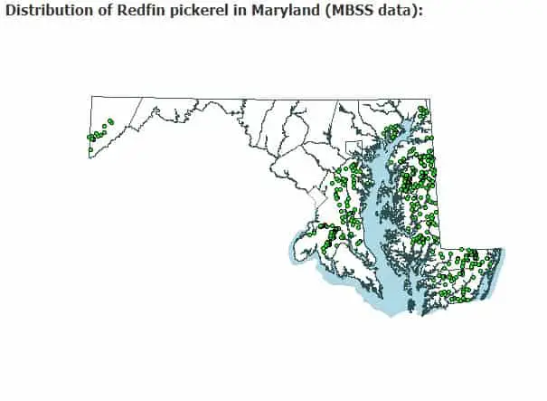 redfin pickerel Maryland map