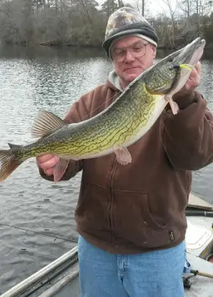 maryland pickerel state record